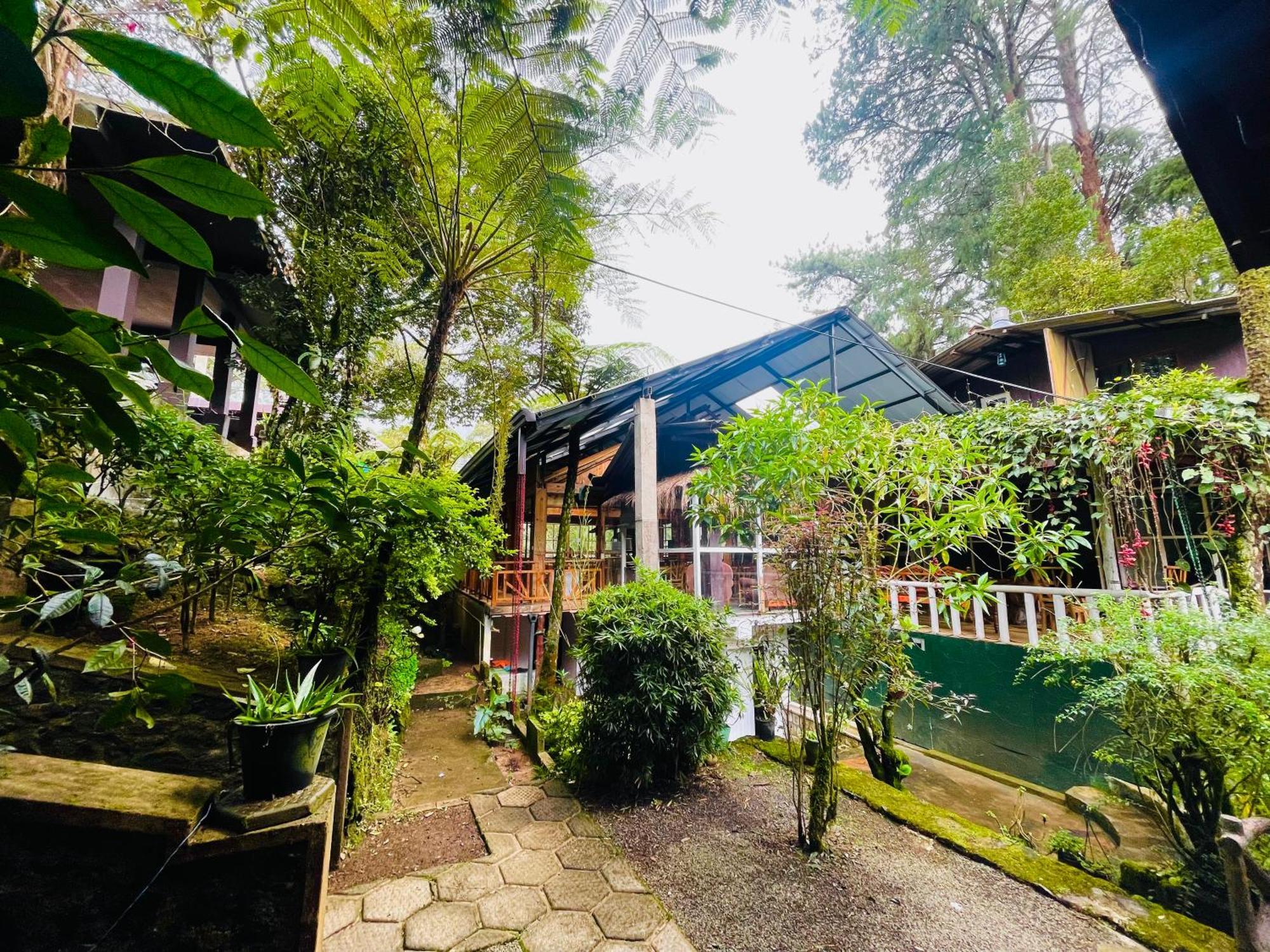 King Fern Cottage Νουβάρα Ελίγια Εξωτερικό φωτογραφία