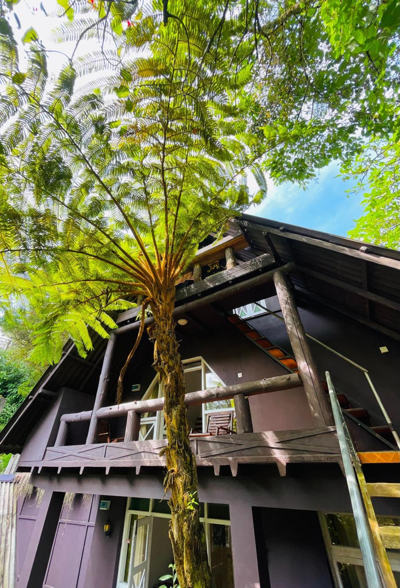 King Fern Cottage Νουβάρα Ελίγια Εξωτερικό φωτογραφία