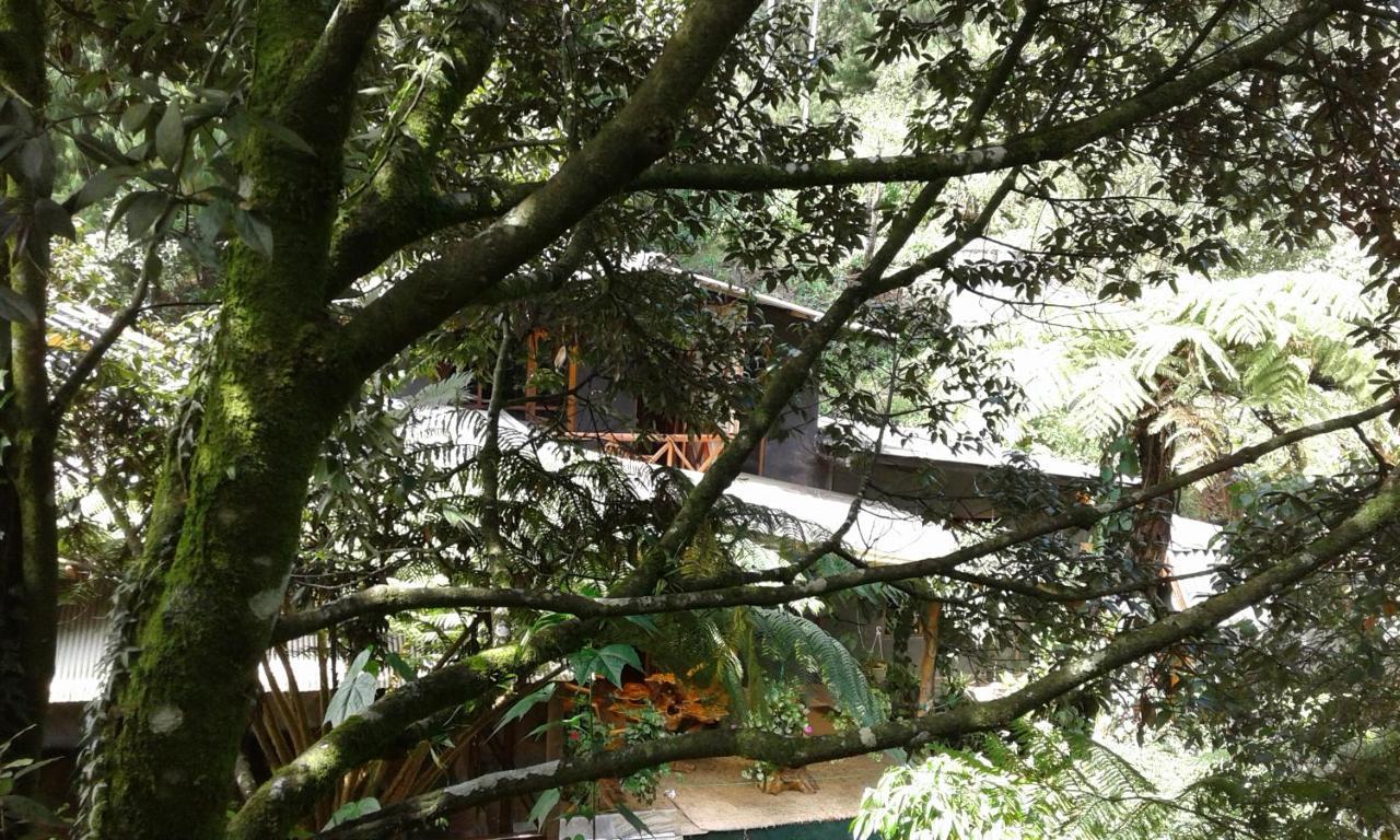 King Fern Cottage Νουβάρα Ελίγια Εξωτερικό φωτογραφία