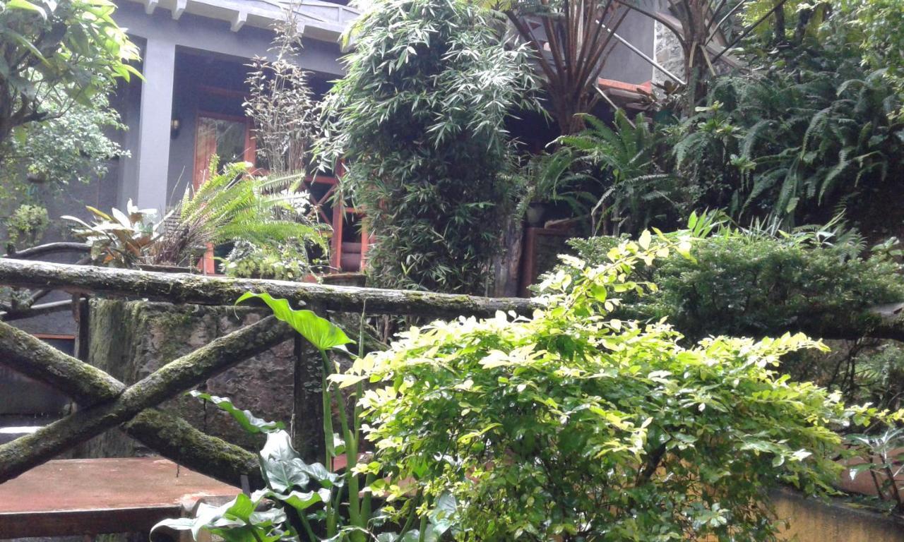 King Fern Cottage Νουβάρα Ελίγια Εξωτερικό φωτογραφία