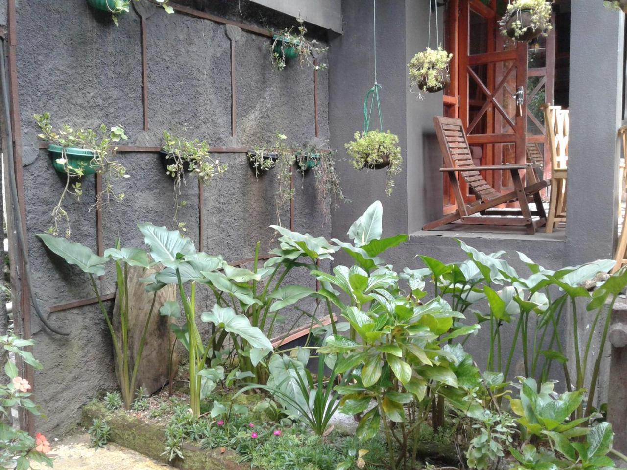 King Fern Cottage Νουβάρα Ελίγια Εξωτερικό φωτογραφία